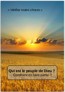 "Vérifiez toutes choses" : une brochure pour prêcher aux Témoins de Jéhovah